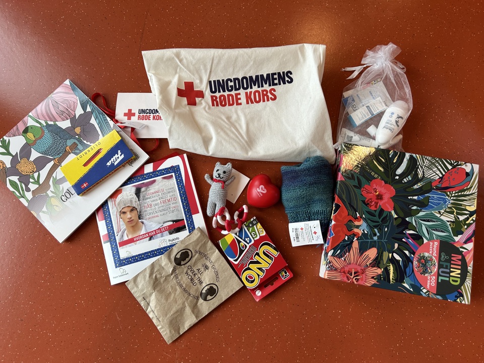 Indholdet af ungekit